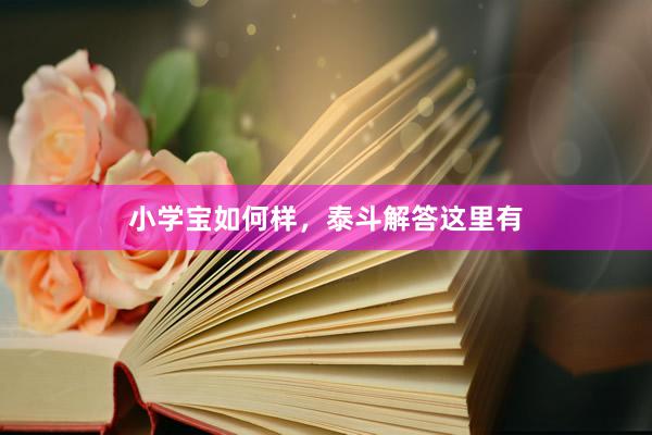 小学宝如何样，泰斗解答这里有