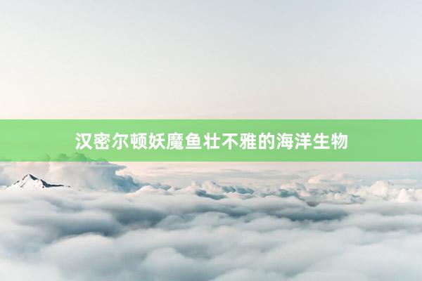 汉密尔顿妖魔鱼壮不雅的海洋生物